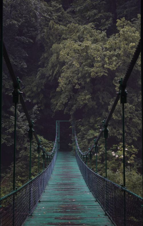 Free Perspective view of old wooden suspension bridge leading to green forest in daylight Stock Photo
