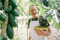 Man among Fruit in Orchard