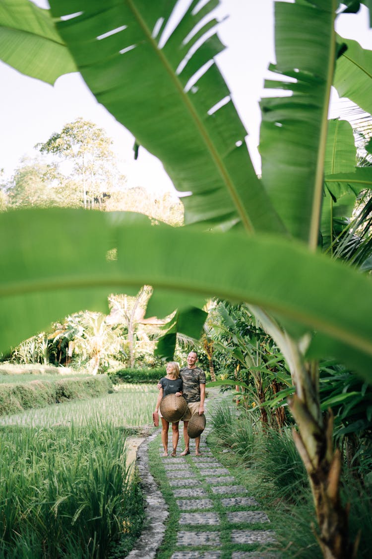 Couple Walking On Path Between Rice Fields