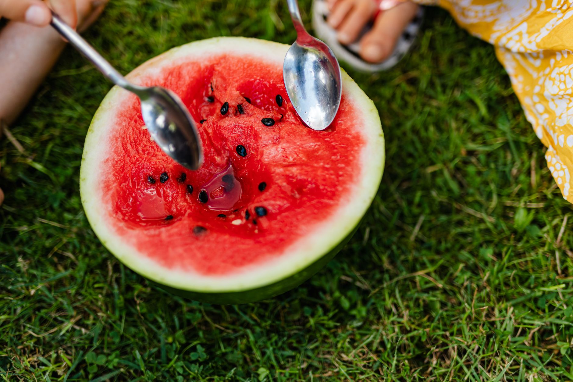 Roasted watermelon seeds snack in a bowl seasoned with spices