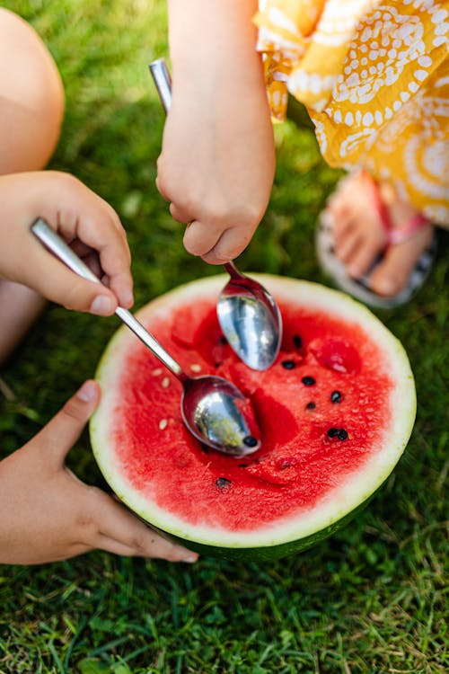 Free Kids Eating Watermelon with Spoons Stock Photo