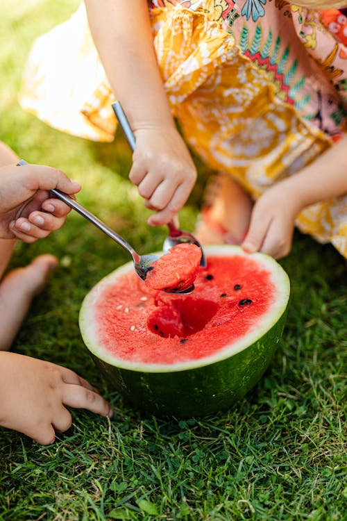Free Children Eating Watermelon on the Green Grass Stock Photo