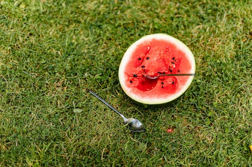 Free Sliced Watermelon with Spoon on the Grass Stock Photo
