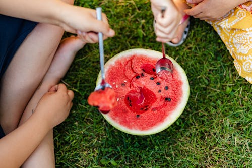 Free Kids Sitting on grass and Eating Watermelon Stock Photo