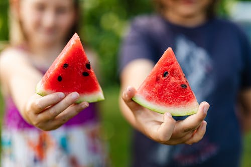 People Holding Watermelon Slices