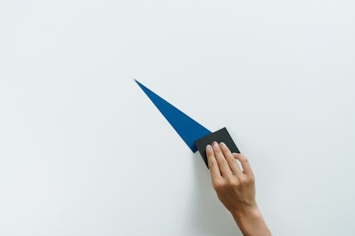 Person Holding Blue and White Paper