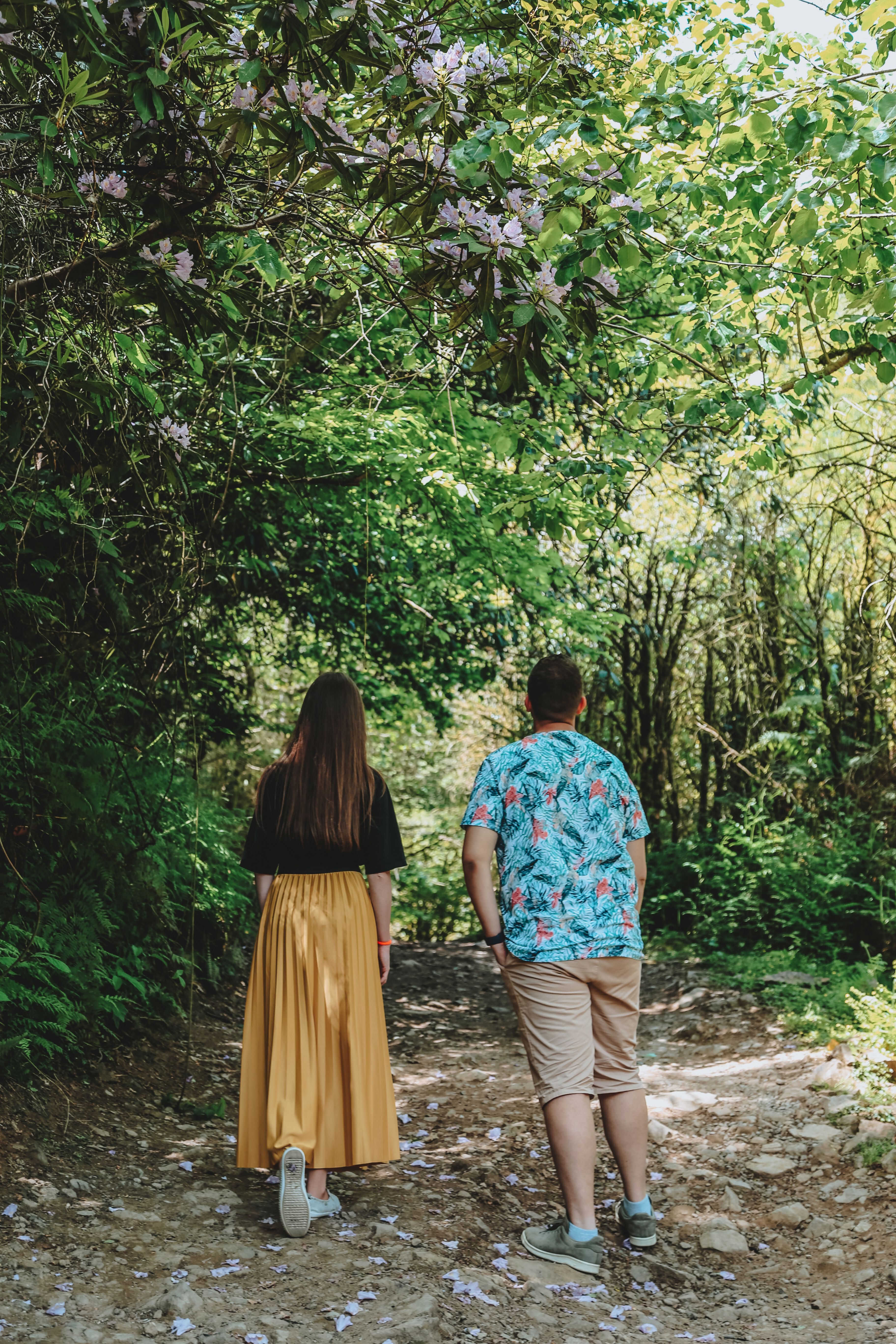 young-couple-walking-in-green-forest-free-stock-photo