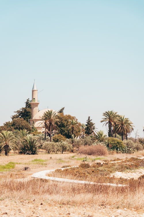 Tower and Palm Trees