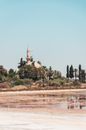 Minaret and Palms Against Blue Sky