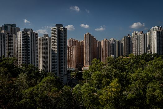 晴朗的蓝天下，郁郁葱葱的绿叶之上，香港高耸的摩天大楼构成了一幅迷人的景色
