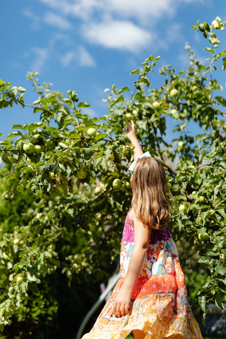 Girl Reaching For A Fruit