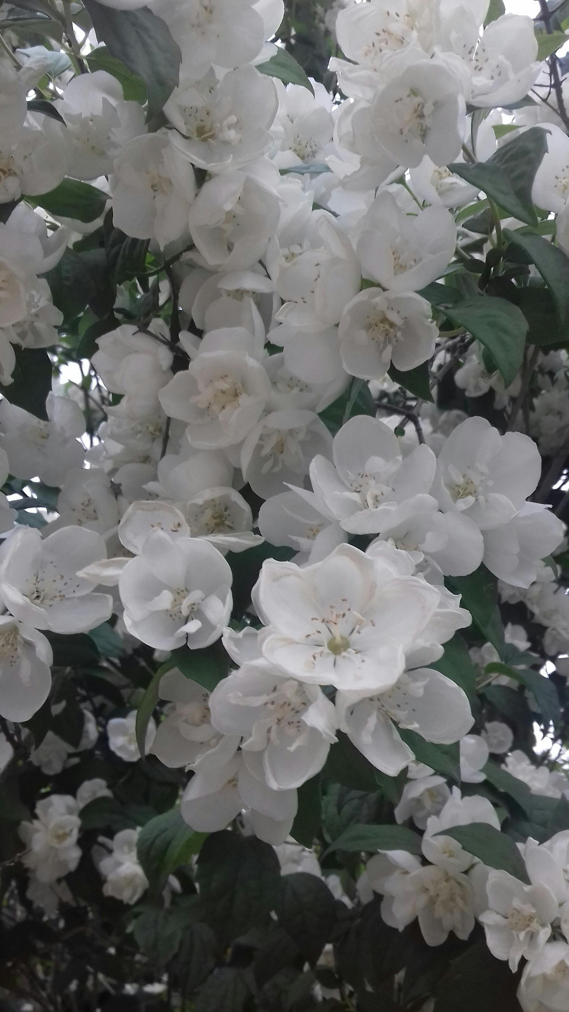 육아지원금 상담