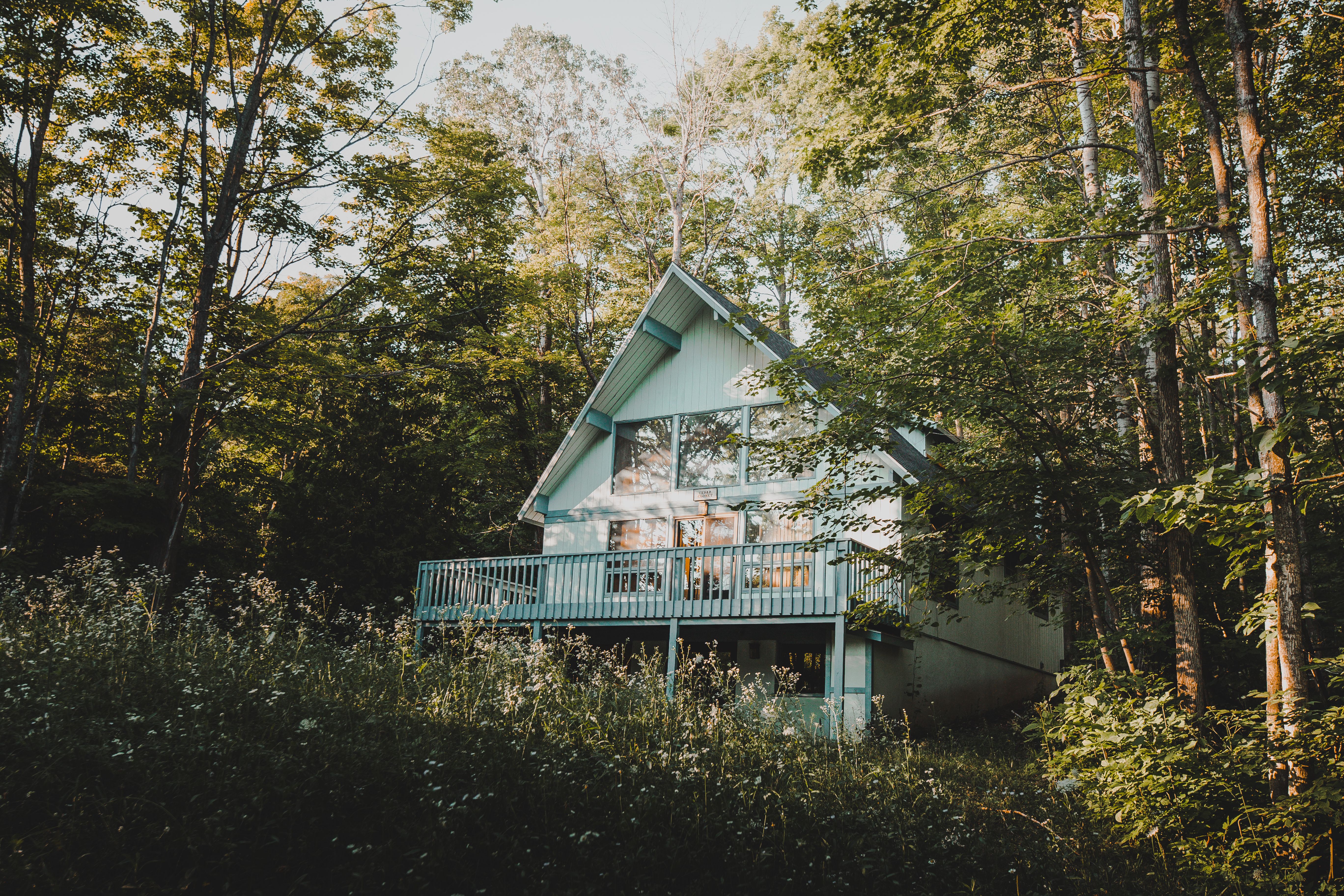 Fledgling Chalet in the pines — photo by Josh Hild on Pexels