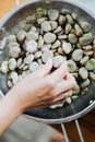Person Holding Green Round Fruits