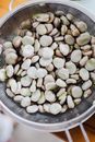 White Round Fruit on Stainless Steel Round Bowl