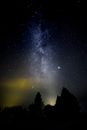 Silhouette of Trees Under Starry Night