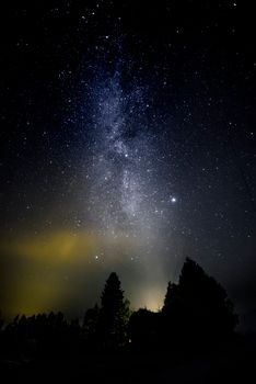 拍摄银河系，照亮夜空，映出树木的轮廓