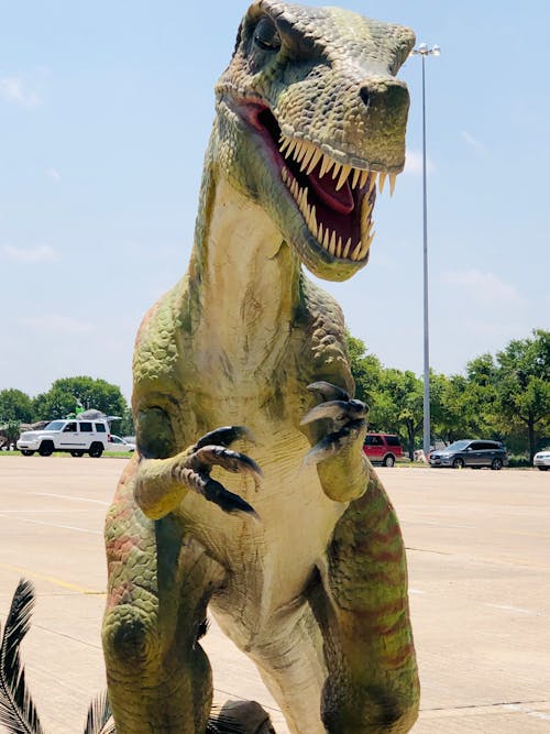 Безкоштовне стокове фото на тему «динозавр»