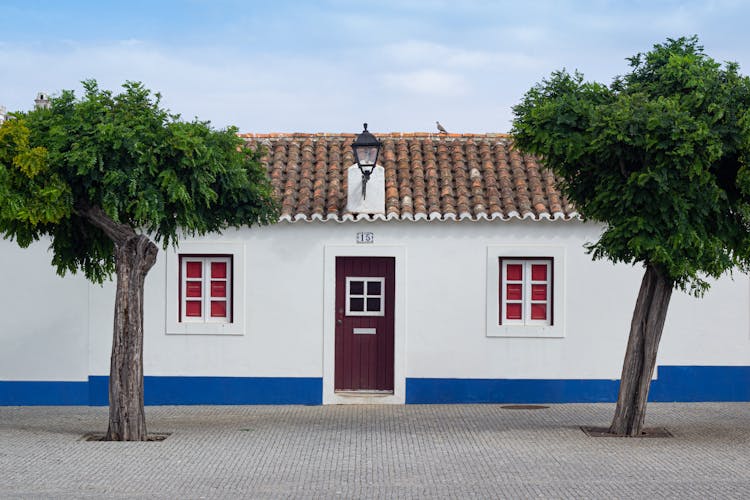 Trees Growing In Front Of A House 