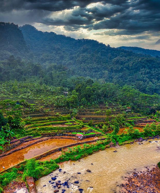 West Java Scenery Rice Terraces in West Java, Indonesia · Free Stock Photo