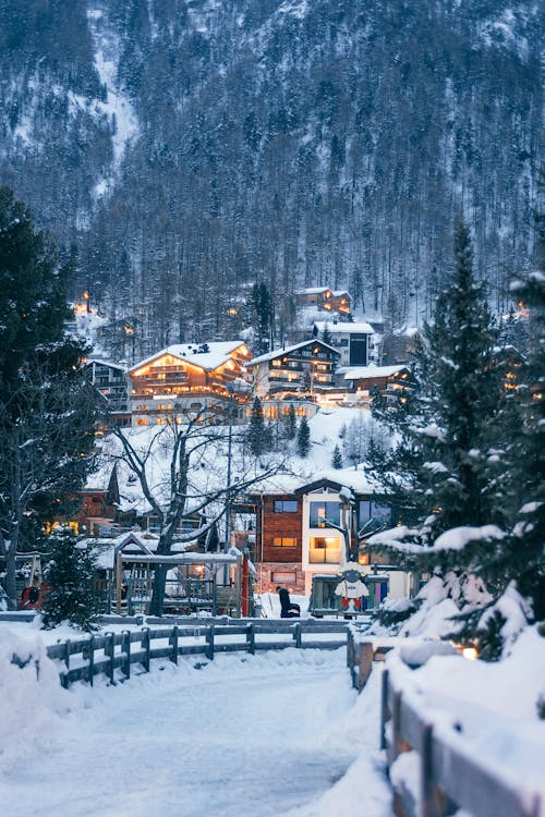 Winter resort houses located on forested snowy hilly terrain