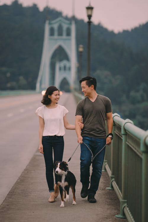 Cheerful young ethnic couple with dog strolling on bridge near green mountains