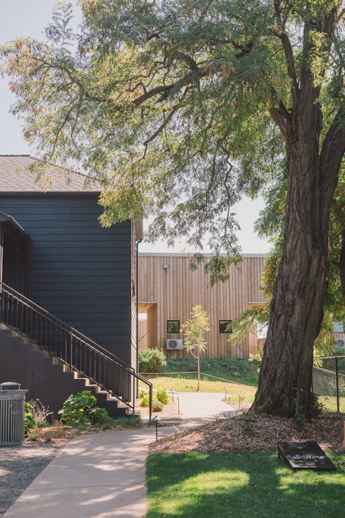 Contemporary residential house with green backyard in sunlight