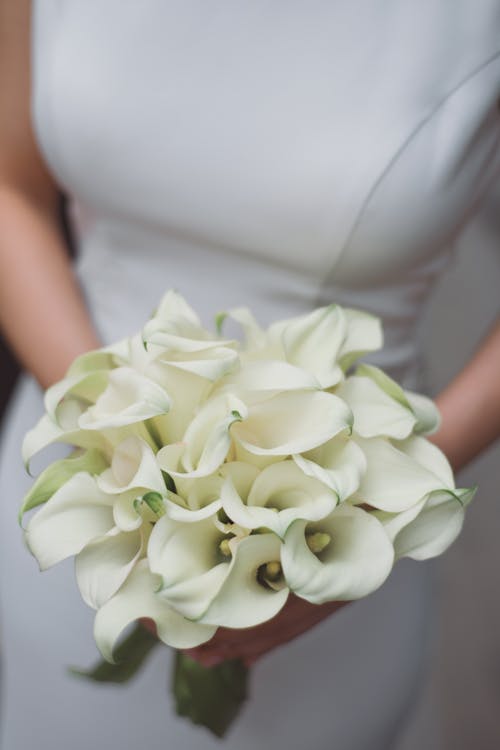 Ücretsiz Beyaz çiçek Buketi Tutan Beyaz Elbiseli Kadın Stok Fotoğraflar