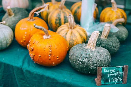 Colorful raw pumpkins with pedicels on green cloth with price tag in local bazaar in daytime