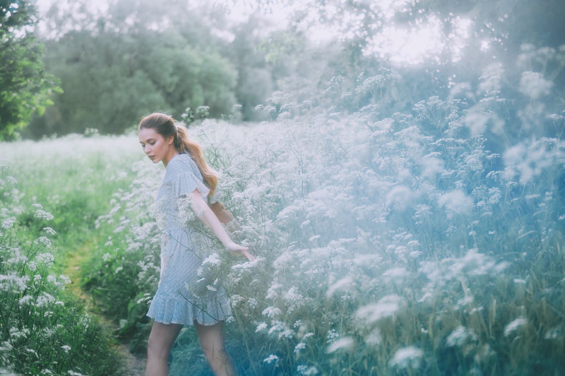 Free Gentle woman walking on path in field with blooming flowers Stock Photo
