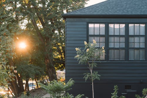 Cottage facade with garden illuminated by shiny sun