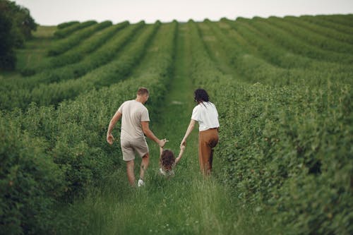Free Man and Woman Walking on Green Grass Field Stock Photo