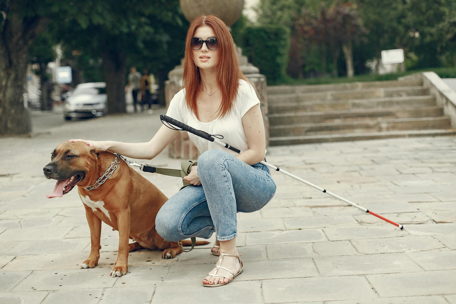 Shallow Focus of a Blind Woman with Her Brown Dog