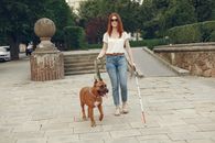 Woman in White Tank Top and Blue Denim Jeans Walking With Brown Short Coated Dog on on on on on