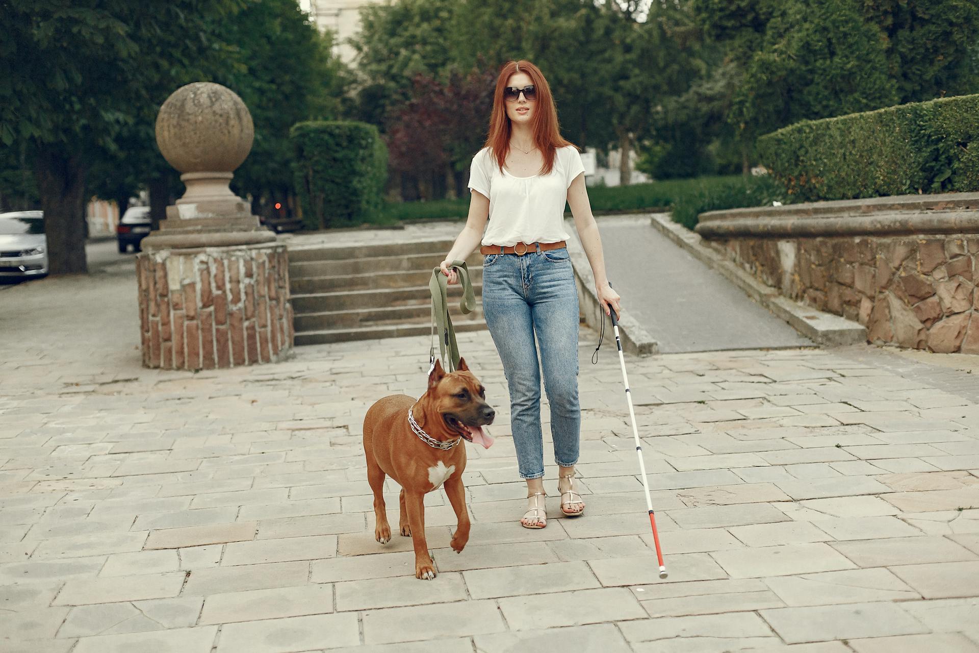 Blind Woman and Her Brown Dog at the Park