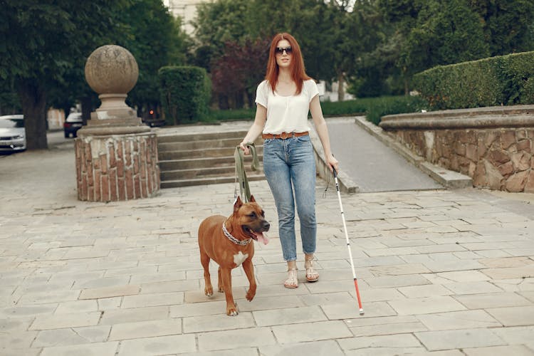 Blind Woman And Her Brown Dog At The Park