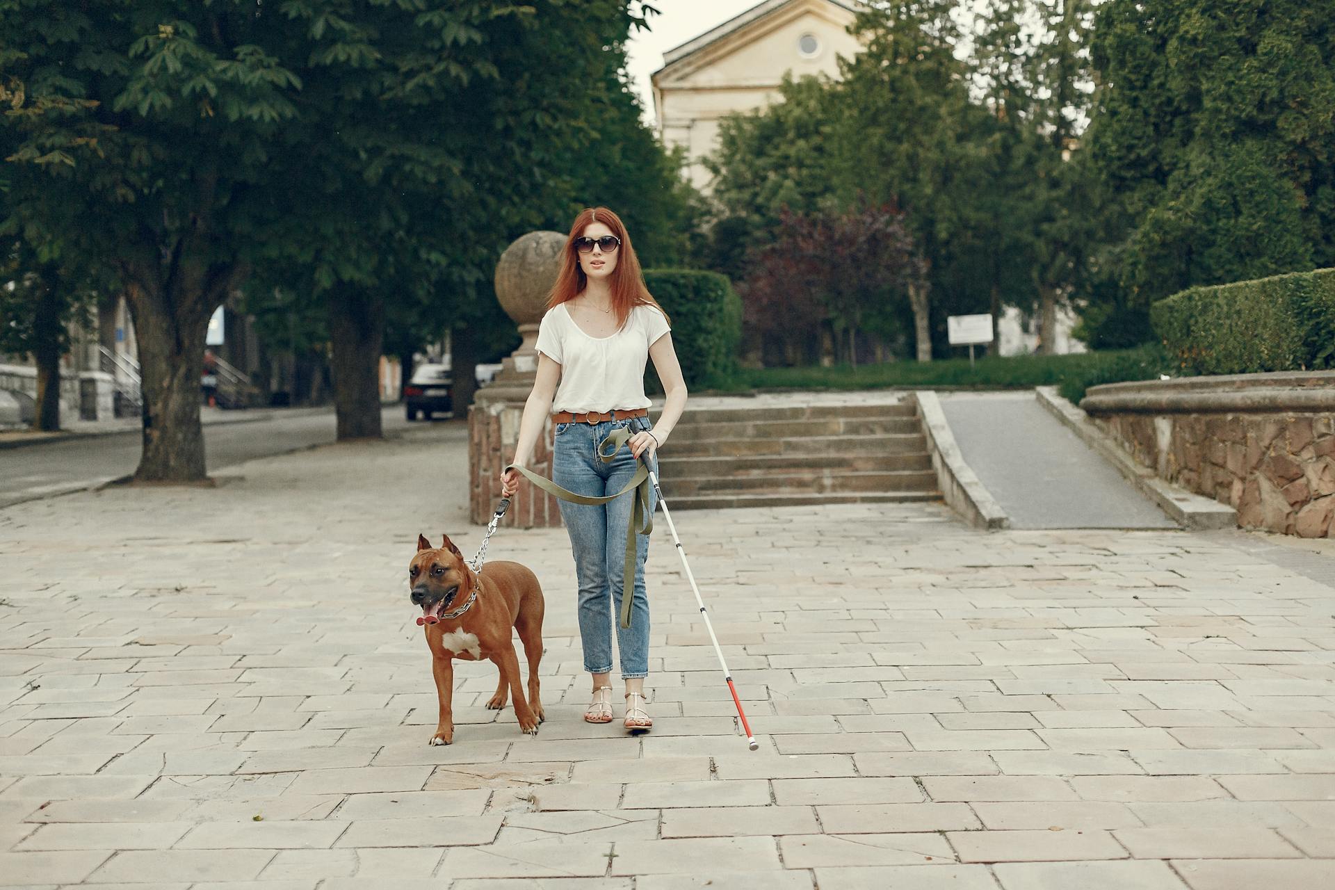 Blind Woman and Her Brown Dog at the Park