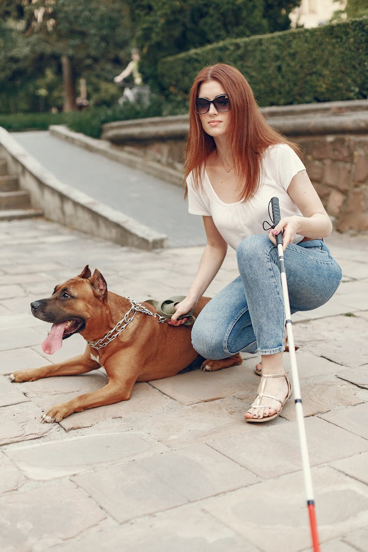 Blind Woman And Her Brown Dog At The Park