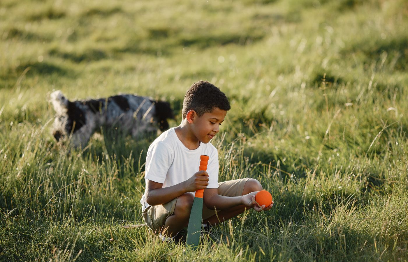 A boy enjoying outdoor play with a toy bat and ball. A playful dog accompanies him.