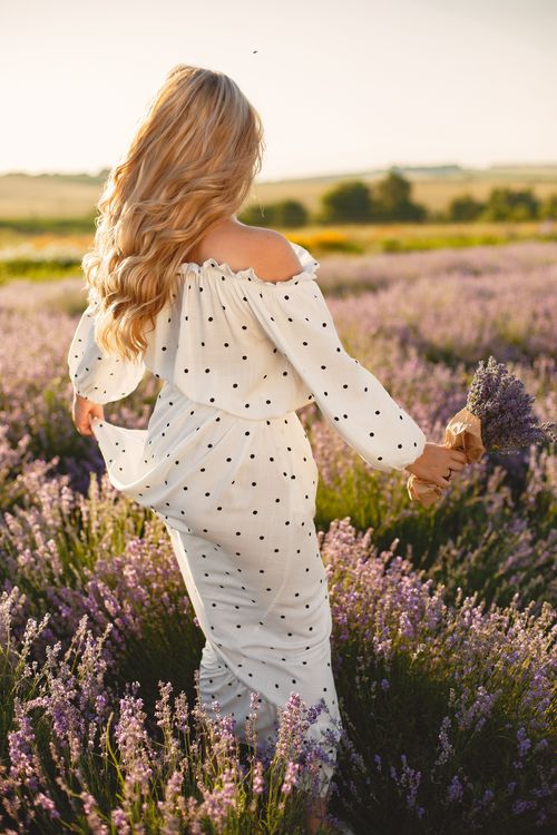 Free Blonde woman in a polka dot dress holds lavender bouquet in a summer field. Stock Photo