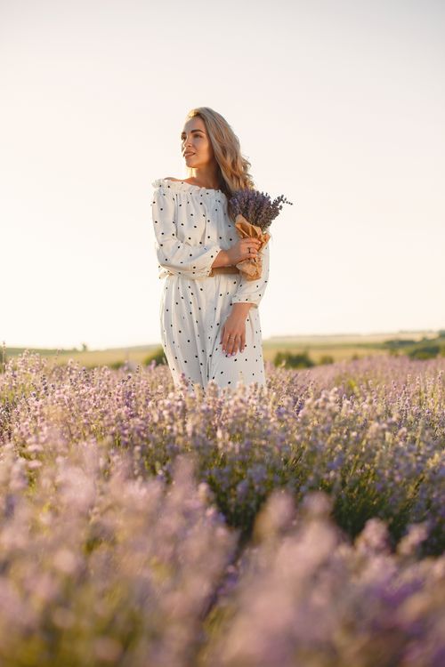 Free Elegant woman in a lavender field holding a bouquet, capturing a serene sunset moment. Stock Photo