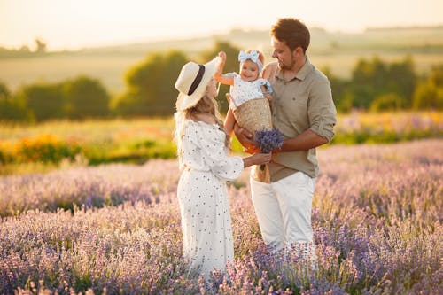 Free A Couple Standing in a Lavender Field with their Baby Stock Photo