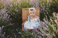Baby Girl in Picnic Basket in Heather