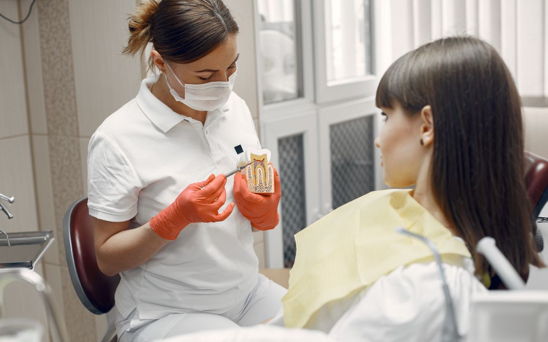 Dentist using a model of a molar tooth and its roots to explain treatment to a patient