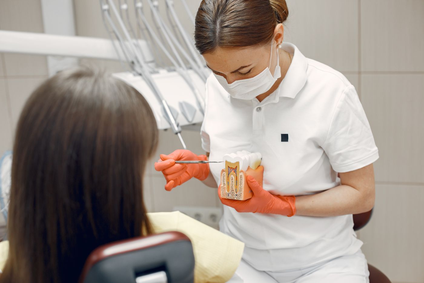 Orthodontiste expliquant un traitement à une patiente avec un modèle dentaire