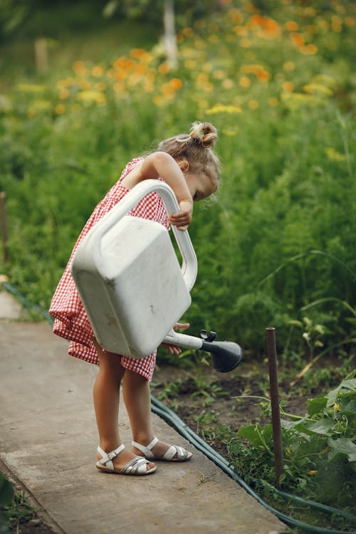 A Little Girl Watering Plants