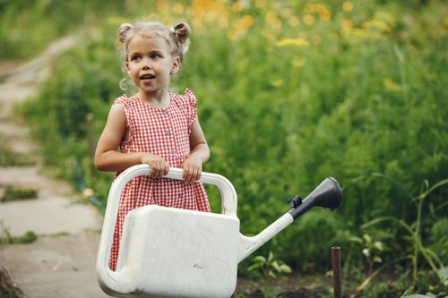 Free A young girl in a red checkered dress holding a watering can in a lush summer garden. Stock Photo