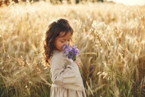 бесплатная Бесплатное стоковое фото с букет цветов, девочка, запах Стоковое фото