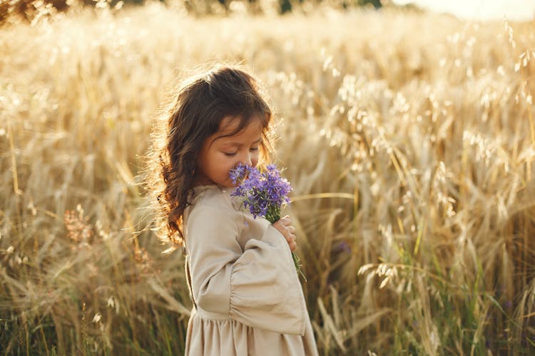 Little Girl On A Wheat Field Smelling Flowers In Her Hand 