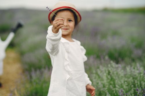Free A smiling child in a white dress holds a lavender flower, standing in a scenic field. Stock Photo
